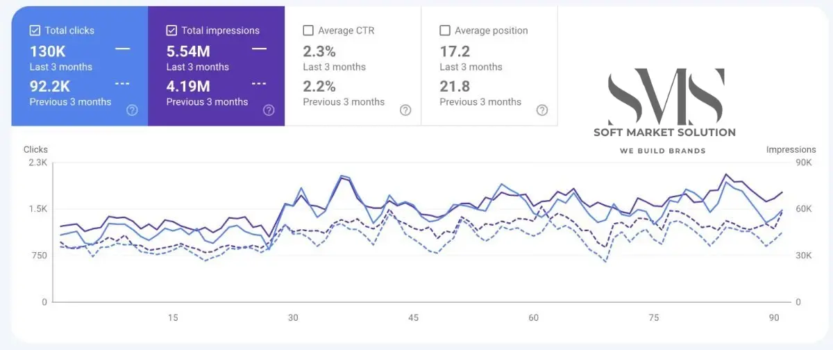 SEO performance growth visual case study